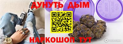крисы Краснознаменск