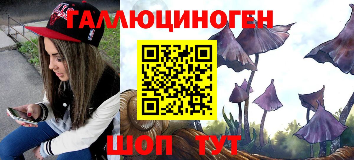 Галлюциногенные грибы Psilocybe  Вход с VPN  Красноуфимск 