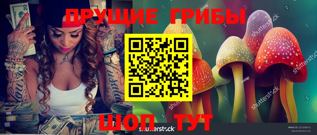 Псилоцибиновые грибы Cubensis Красноуфимск